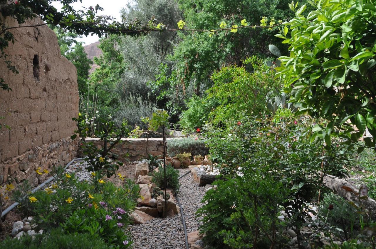 A Secret Garden Hotel Tinghir Kültér fotó